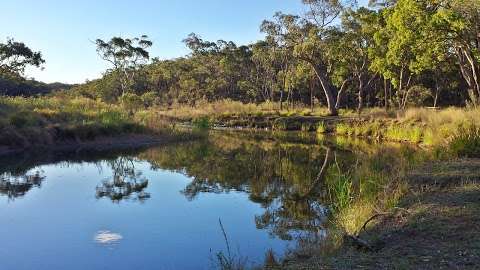 Photo: Kings Plains National Park